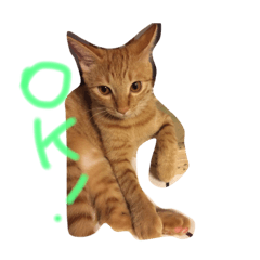 [LINEスタンプ] ラムネとごあいさつ