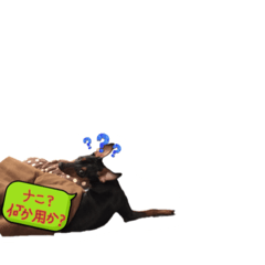 [LINEスタンプ] ミニピン☆こてつの日常