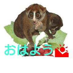 [LINEスタンプ] suro-rorisu 2