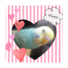 [LINEスタンプ] インコくぅちゃん