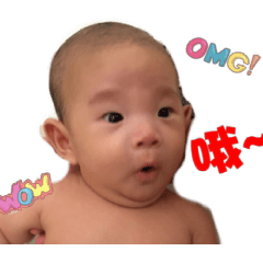 [LINEスタンプ] Harvey-Daily articles
