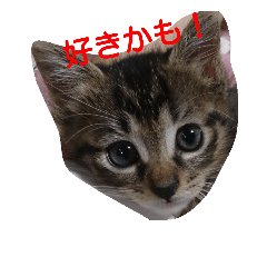 [LINEスタンプ] nananachan