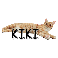 [LINEスタンプ] Lovely Cat Kiki