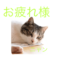 [LINEスタンプ] miyakazoku