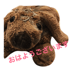 [LINEスタンプ] ぷーちゃんのスタンプ