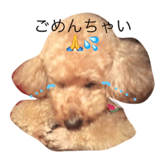 [LINEスタンプ] kimurafamily