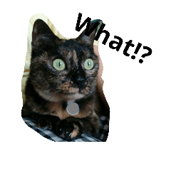 [LINEスタンプ] ねこのでんせつ1
