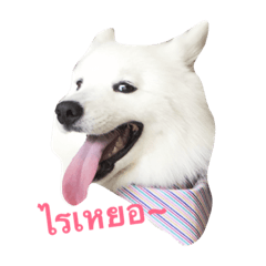 [LINEスタンプ] Udon the Wicked Dog