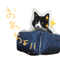 [LINEスタンプ] りんさく2