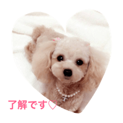 [LINEスタンプ] tinachan
