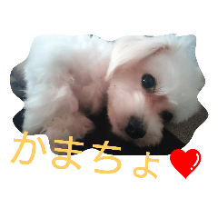 [LINEスタンプ] mix breed stamp