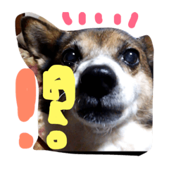 [LINEスタンプ] わたしなるちゃん