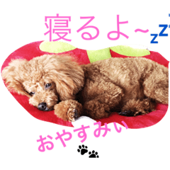 [LINEスタンプ] モコの日常あいさつ