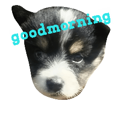 [LINEスタンプ] バスの1日