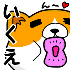 [LINEスタンプ] いくえより愛を込めて（名前スタンプ・猫）