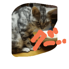 [LINEスタンプ] torairo