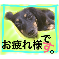 [LINEスタンプ] ビギーとメルモのスタンプ