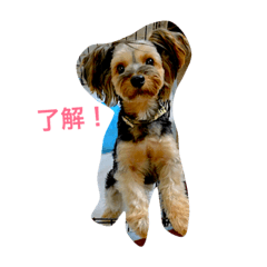 [LINEスタンプ] もじゃもじゃ1