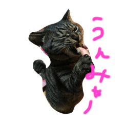 [LINEスタンプ] おむちょんもち