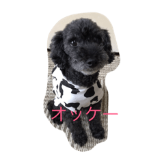 [LINEスタンプ] auel