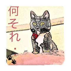 [LINEスタンプ] チュラ＆バットニャン vol.1