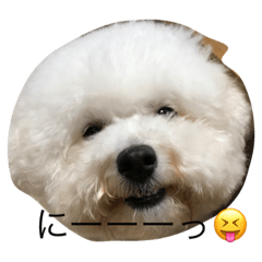 [LINEスタンプ] 犬が話せたら…
