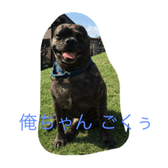 [LINEスタンプ] ごくぅの毎日