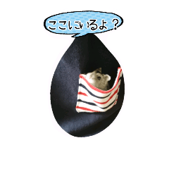 [LINEスタンプ] ハムスターちろる