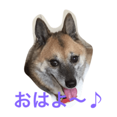 [LINEスタンプ] kei mix