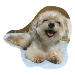 [LINEスタンプ] ラムトム