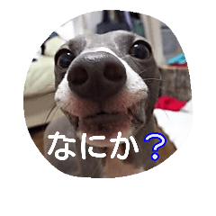 [LINEスタンプ] アズ＆クロの日常
