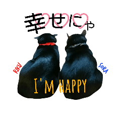 [LINEスタンプ] 黒猫兄弟 そらりく 2