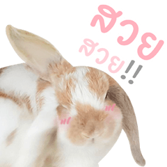 [LINEスタンプ] MM Rabbits 1.0 (TH)