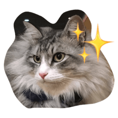 [LINEスタンプ] イクヲと仲間たち