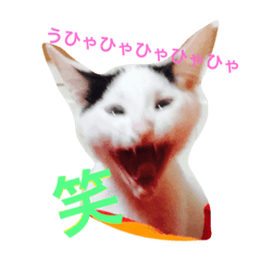 [LINEスタンプ] 愛しのゴマちゃん