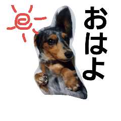 [LINEスタンプ] 耳タレわんこ簡単スタンプ