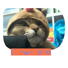 [LINEスタンプ] マンチのそら