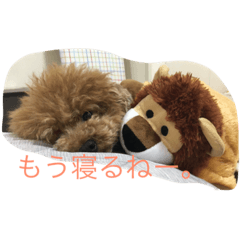 [LINEスタンプ] コハクの日常会話