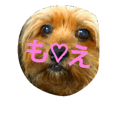 [LINEスタンプ] モグのつぶやき♥