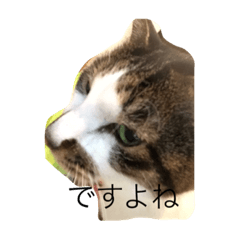 [LINEスタンプ] hanachyanka