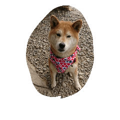 [LINEスタンプ] 友達の犬