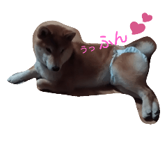 [LINEスタンプ] kuroandisaki