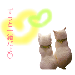 [LINEスタンプ] 猫と犬となんとなくリス