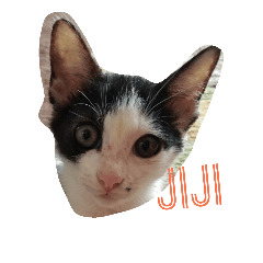 [LINEスタンプ] 子猫のジジ