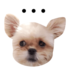 [LINEスタンプ] 誰でも使えるみくりちゃんスタンプ