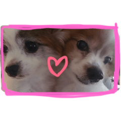 [LINEスタンプ] 今日のワンこ