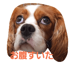 [LINEスタンプ] うじゃに☆