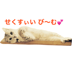 [LINEスタンプ] デビだぜっ！