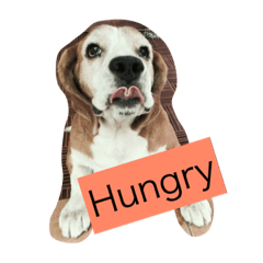 [LINEスタンプ] puppy need love