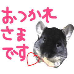 [LINEスタンプ] ちゅーれん